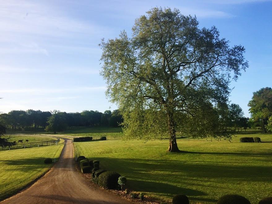 Haras De La Potardiere