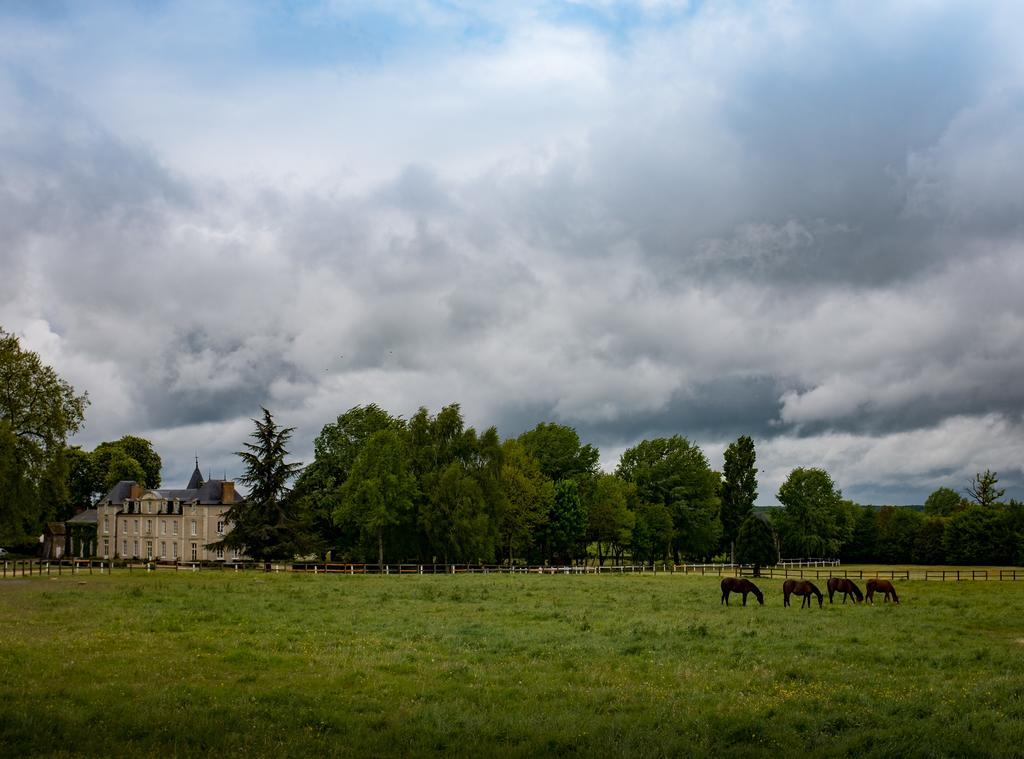Hotel Haras De La Potardiere 3*