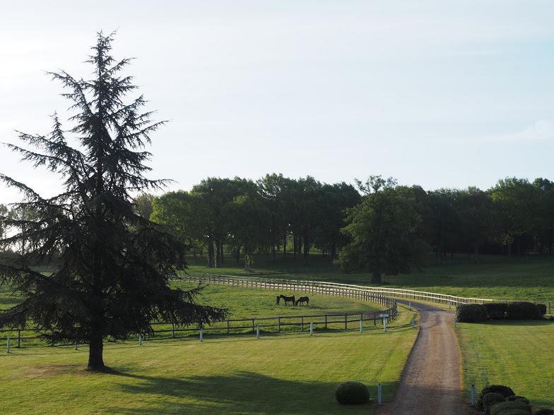 Haras De La Potardiere 3* Crosmières